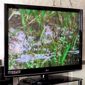LG 50PS3000-ZB (PD92A)